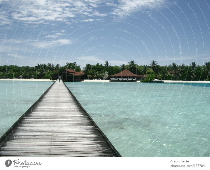 connection Maldives Ocean Palm tree Beach Bridge Far-off places Sky Connection