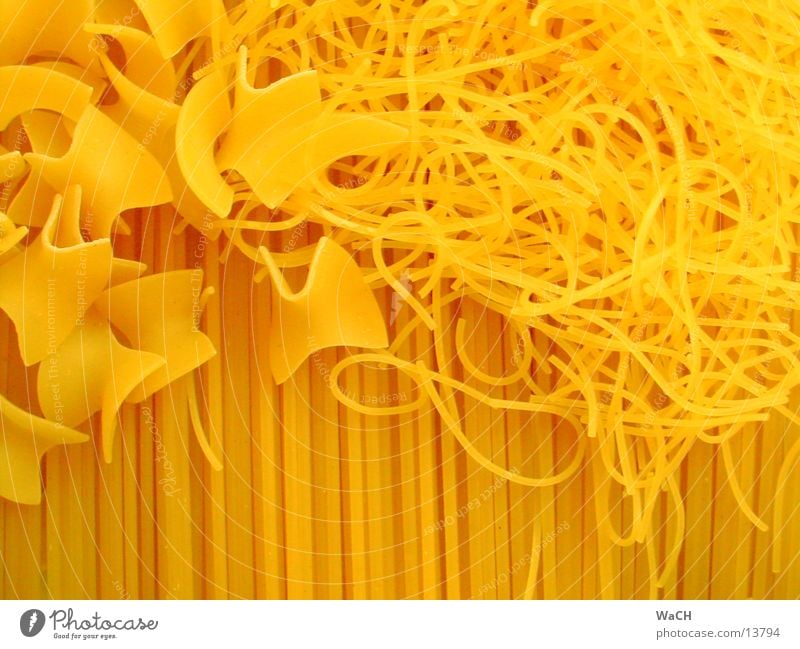 Pasta 2 Nutrition Noodles Spaghetti Cooking fravals Colour photo Studio shot Close-up Detail Macro (Extreme close-up)