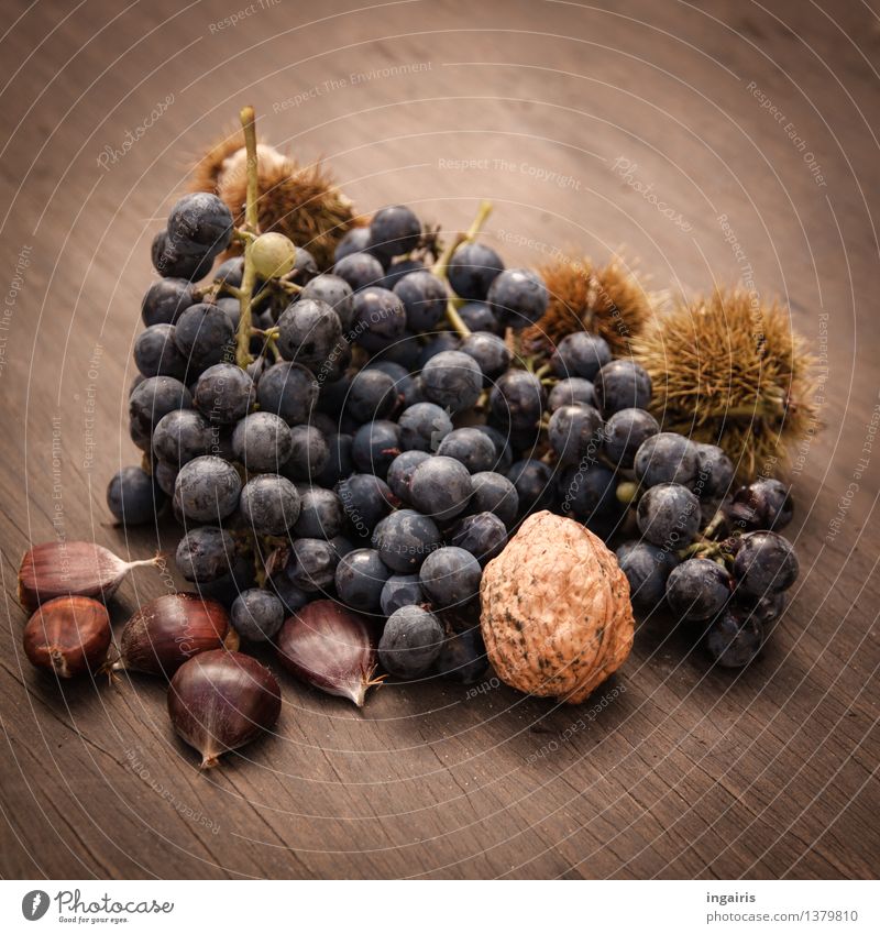 Tasty Autumn Food Fruit Bunch of grapes Sweet chestnut Walnut Plant To enjoy Lie Fresh Healthy Natural Round Juicy Thorny Blue Brown Yellow Mature Autumnal