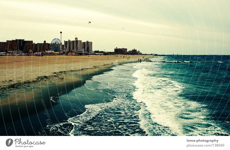 the beach New York City Manhattan Americas Beach Vacation & Travel Ocean Sandy beach Waves Tide Foam Horizon Coast Leisure and hobbies USA Landscape Water Blue