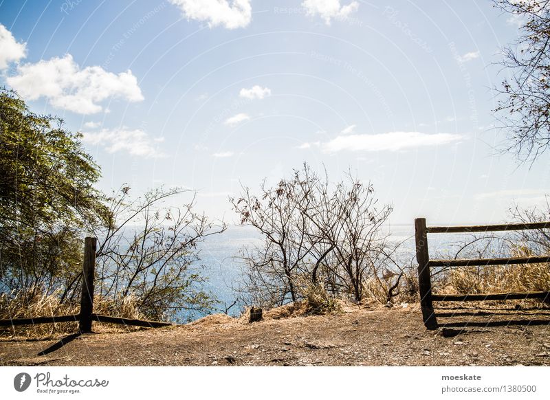 View of the sea Environment Landscape Earth Sky Clouds Summer Beautiful weather Tree Bushes Blue Brown Fence Guadeloupe Vantage point Colour photo