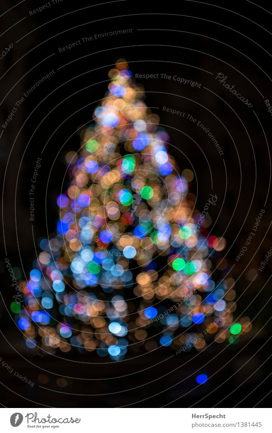 light appearance Christmas & Advent Winter Tree Glittering Beautiful Multicoloured Goodness Hope Belief Christianity Ritual Christmas tree Christmas decoration