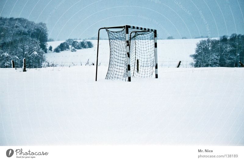 Gate!Gate!Gate! Snow Football pitch Playing field Freeze Cold Winter White Bushes Tree Soccer Goal Loneliness Ball sports Empty Sharp-edged
