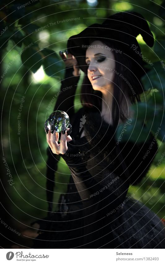 future outlook Carnival Hallowe'en Feminine Woman Adults 1 Human being Forest Hat Dark Future Witch Carnival costume Fortune-telling Glass ball Colour photo