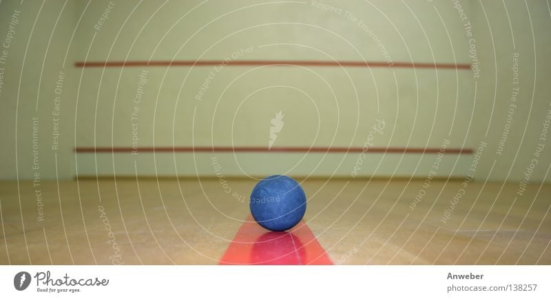 Squashball in an empty Spashcourt Gymnasium Playing Sporting event Background picture Things Red Ball sports Rectangle Building Interior shot Wall (building)