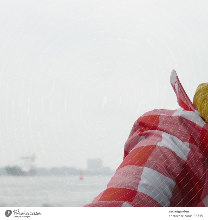 HH08.1 - not small checked Coat Jacket Clothing Vantage point Fog Scarf Yellow Red Checkered White Cold Comfortless Horizon Collar Wind Posture Pattern Brave