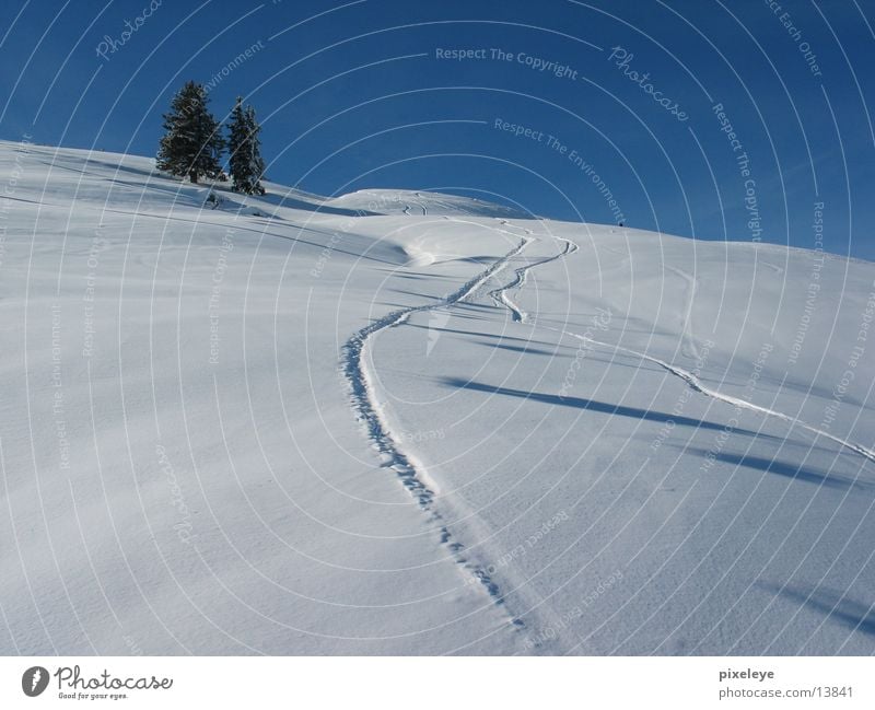 Into the snow pandemonium Cross-country ski trail Fir tree Mountain Snow Landscape Skiing Sky