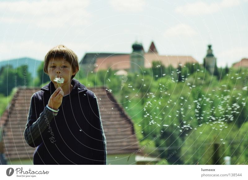 Dandelion II Colour photo Exterior shot Day Long shot Upper body Joy Freedom House (Residential Structure) Child Human being Masculine Boy (child) Infancy 1