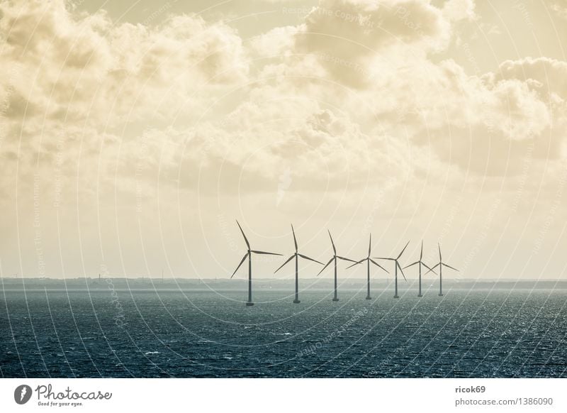 windmills Sun Energy industry Renewable energy Wind energy plant Nature Landscape Clouds Climate Coast Baltic Sea Ocean Sky Colour photo Subdued colour