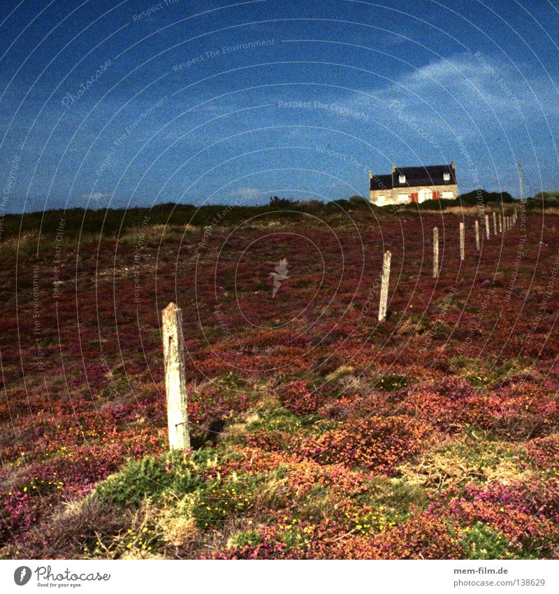 maison de vacances Vacation home France Brittany Heathland Fence Coast Evening sun Gritty Violet Ground cover plant Loneliness Remote Dream house