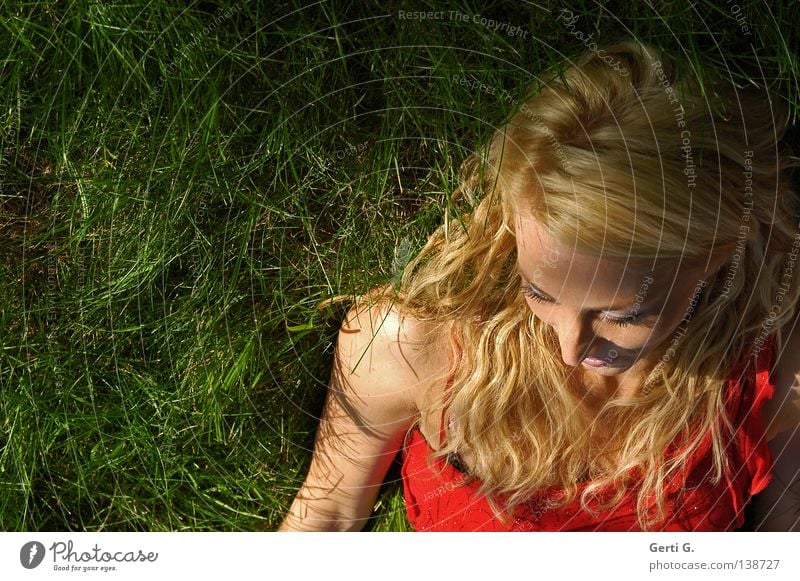 sensual Woman Meadow Grass Long-haired Curly Relaxation Red Dress Beautiful Attractive Delicate Fragile Force Grass green Green Portrait photograph Model Shadow