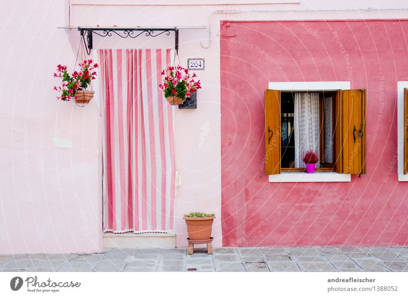 Italy Village Fishing village Small Town Old town House (Residential Structure) Building Architecture Facade Window Door Esthetic Pink Shutter Pot plant Striped