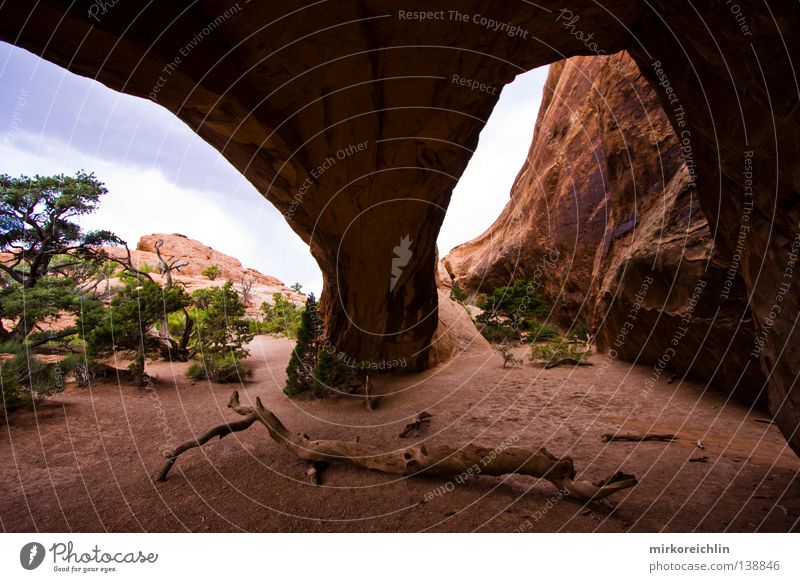 Arches National Park Wilderness Tree Tree trunk Safety Cave Wide angle Safety (feeling of) Mountain Vacation & Travel road trip USA Nature Utag Stone Rock