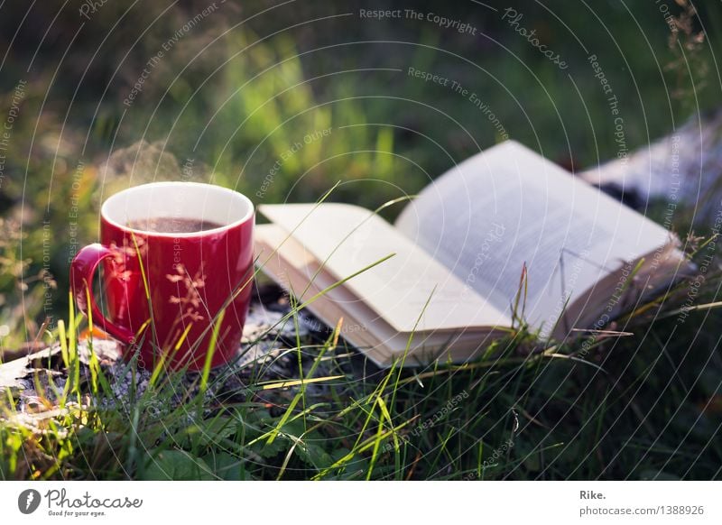 Time is luck. Beverage Hot drink Coffee Tea Cup Leisure and hobbies Reading Nature Summer Autumn Beautiful weather Tree Forest Relaxation Romance Calm
