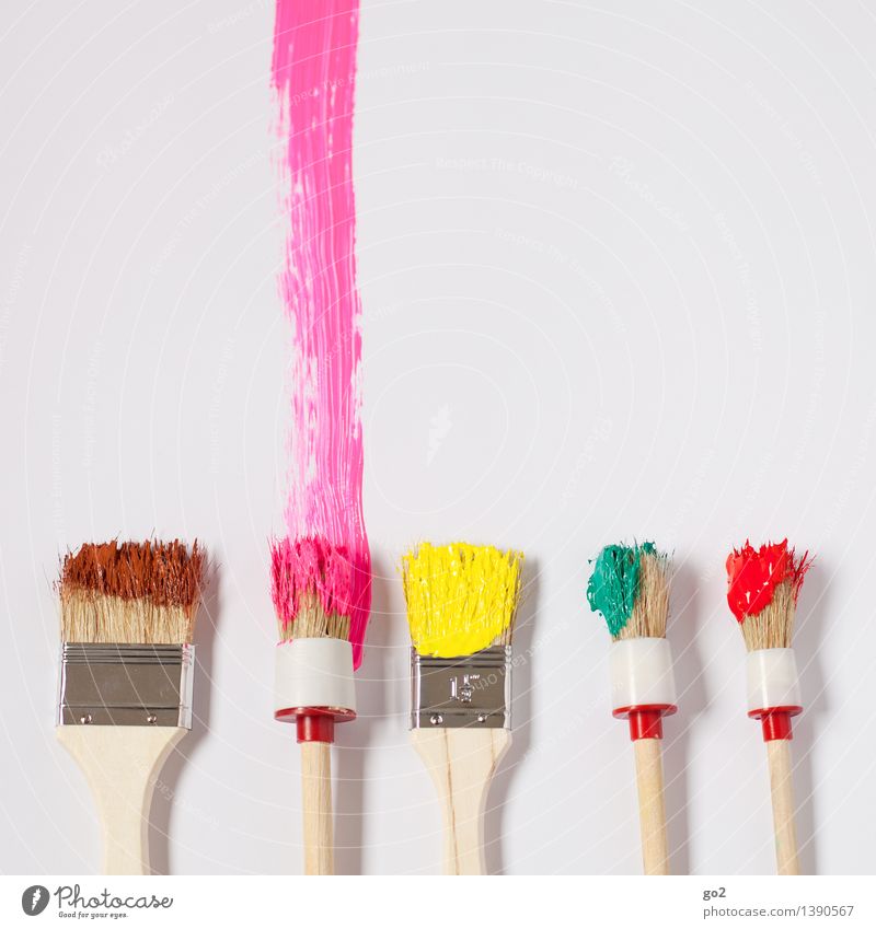 PINk Leisure and hobbies Redecorate Moving (to change residence) Work and employment Craftsperson Painter Art Artist Paintbrush Dye Brush stroke Brush handle