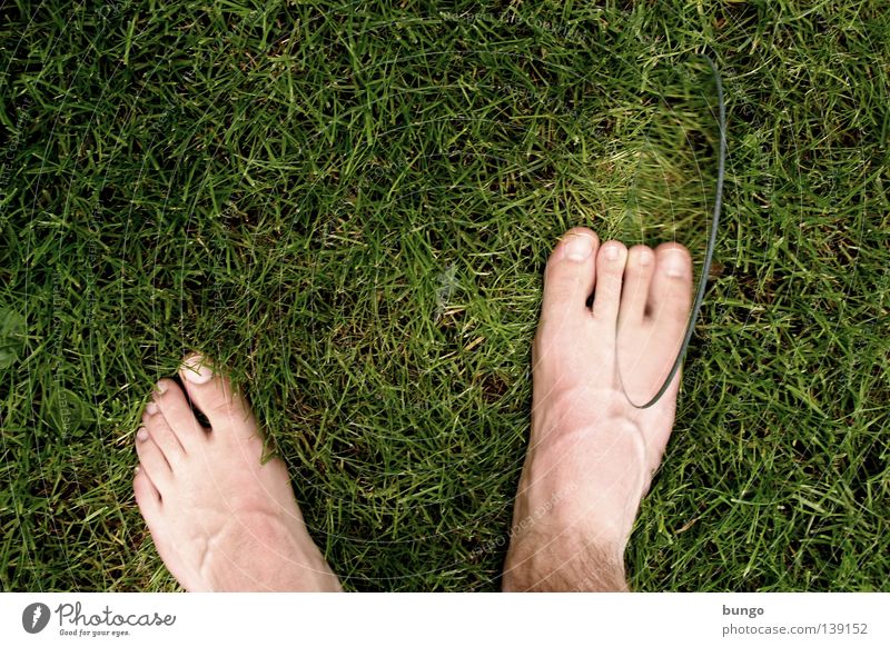 extra ordinary Meadow Grass Toes Toenail Vessel Strange Excess Handicapped Crippled Hideous Disgust Mirror Mirror image Reflection Malformation Man Feet Lawn