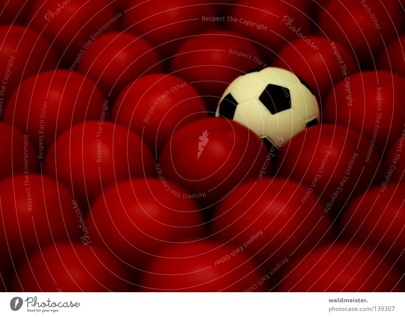 Italy becomes European Champion Blur Depth of field Vegetable Sports Tomato Ball Shallow depth of field 1 Many Foot ball Round Sphere Small Whimsical