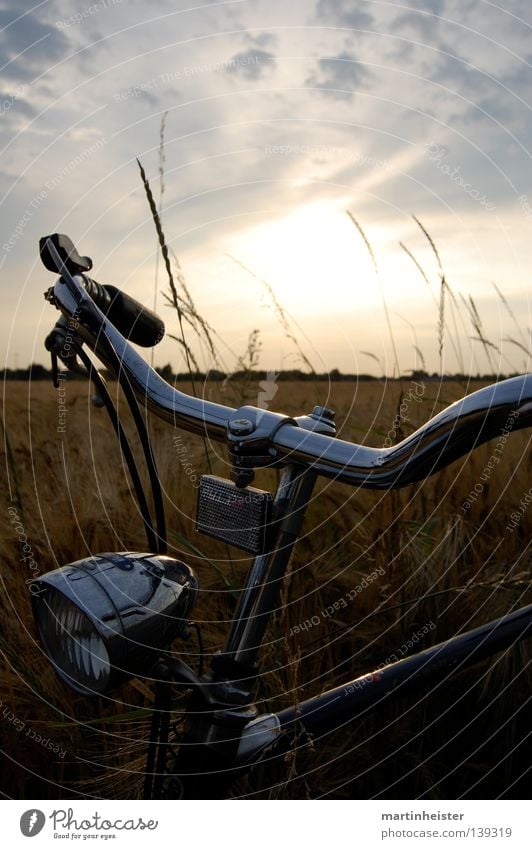 A wheel in the cornfield Bicycle Cornfield Sunset In transit Twilight Field Calm Relaxation Romance Clouds Far-off places Loneliness Summer Summer evening Grain