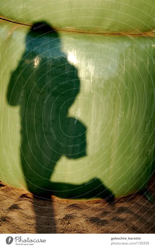 green stuff Packaged Glittering Agriculture Hay bale Shadow play Green Packing film Mainstay Salto Unwavering Monument Exterior shot Landmark Summer Human being