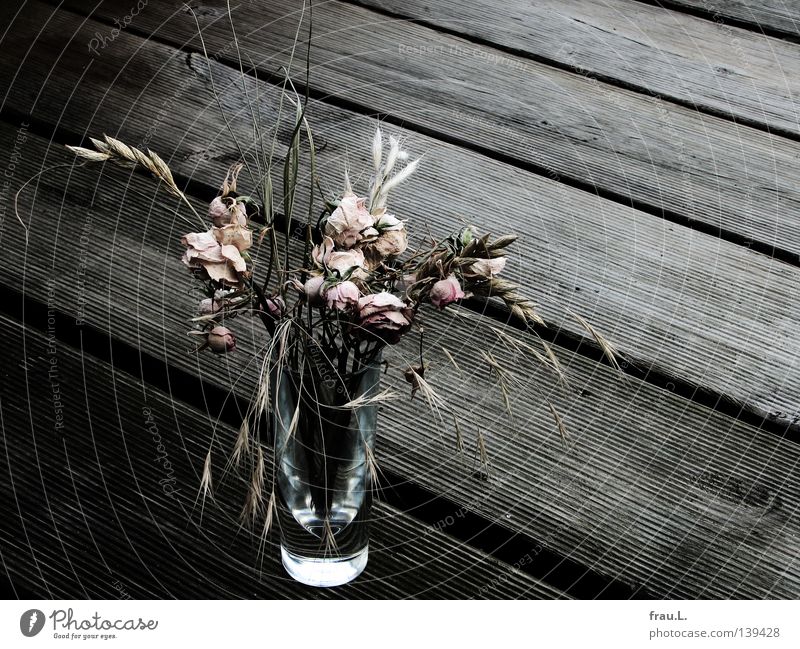 Dried pink Grass Death Wood Balcony Grappa Dry Delicate Decoration Glass