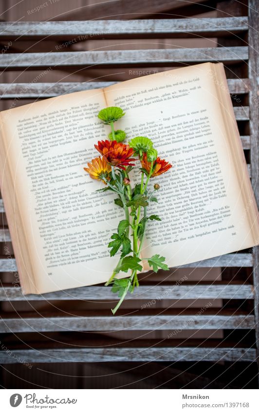 book Media Print media Book Reading Study Page Reading matter Relaxation Education Decoration Flower Bouquet Lovely Colour photo Subdued colour Exterior shot