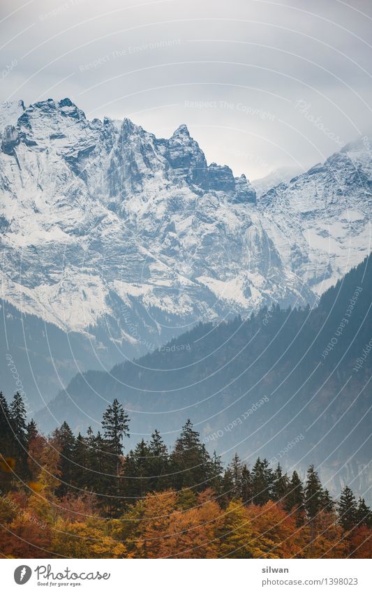 autumn mountains Landscape Sky Autumn Tree Forest Mountain Peak Snowcapped peak Glacier Threat Dark Far-off places Gigantic Tall Cold Point Thorny Brown Gray