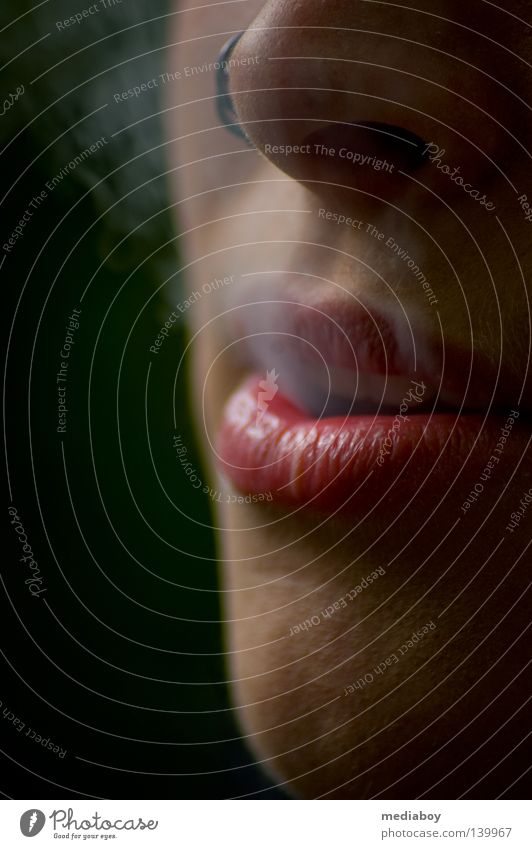 Blue haze Skin Face Nose Mouth Lips Smoke Breathe Green Red Cigarette Cigarette smoke Colour photo Twilight Woman`s mouth Woman's nose Nose ring Detail 1