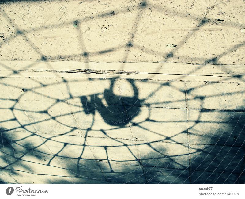 aracs Spider Playground Extreme sports spider's web urge to move superheroes Net black widow