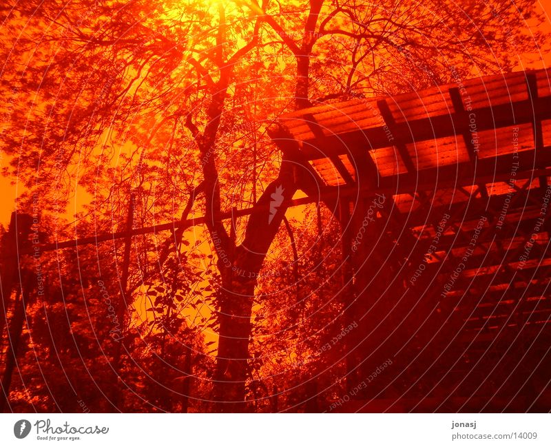 Glowing Red Incandescent Tree House (Residential Structure) Yellow Blaze Filter Sun Bright Sunset