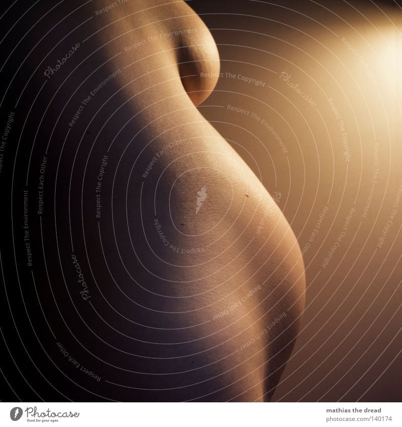 HILLY LANDSCAPE Pregnant Stomach Mother Detail Section of image Partially visible Female nude Naked Bright background Shadow Progress Artificial light