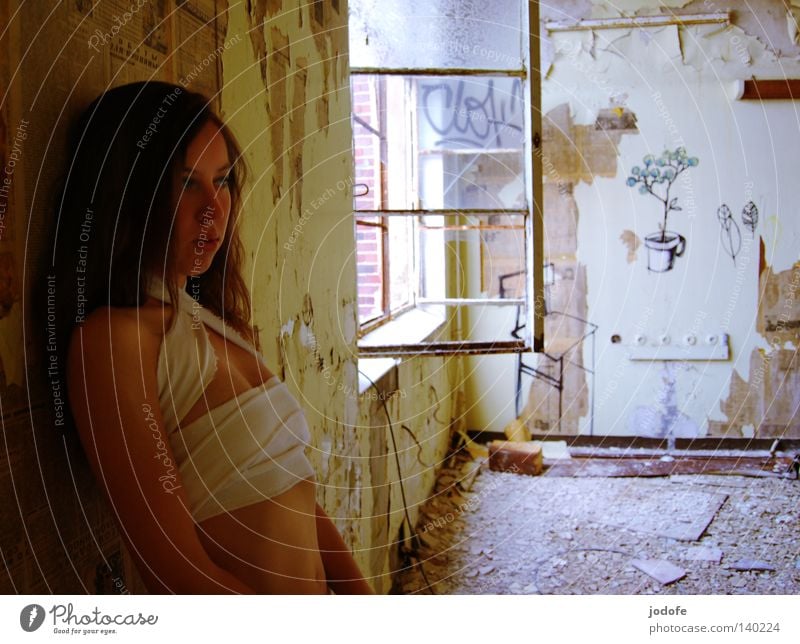 Loneliness. Woman Grief Youth (Young adults) Derelict Building Room Window Window pane Wall (building) Wallpaper Smeared Art Street art Flower Plant