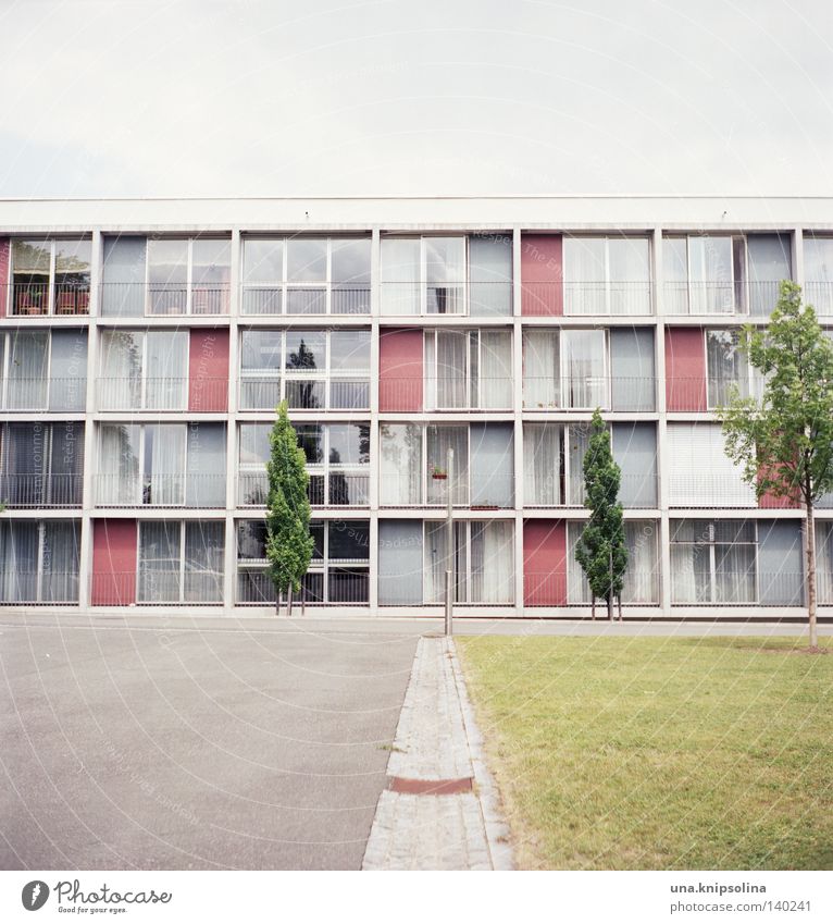 .home Life Living or residing Academic studies Town Architecture Balcony Window Old Modern Green Analog Square Medium format Asphalt Free space