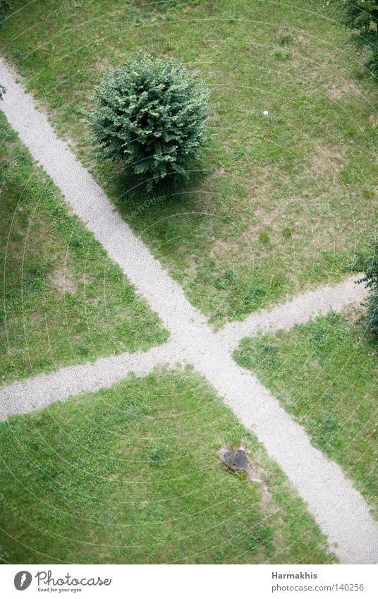 Make a cross Grass Meadow Green Dry Lanes & trails Stony Crossed Road junction Tree Leaf Clearing Bushes Tree stump Ask Meaning Bird's-eye view