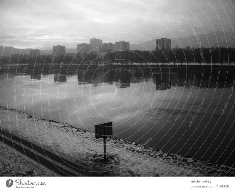 Linz Linz (Danube) Town High-rise River bank Black & white photo Lanes & trails Signs and labeling Snow Sky Water Tree Lichtenberg Danubeland Looking Winter