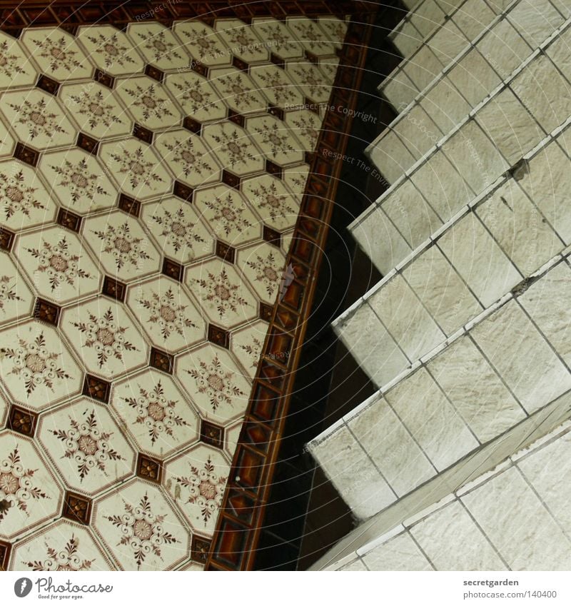 square tiles in square. Staircase (Hallway) Mixture Pattern Brown Seventies Broken Alcohol-fueled Under House (Residential Structure) Interior design Art