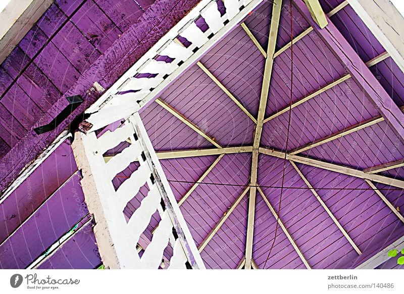 Purple break Pavilion Roof Steep Vertical Winding staircase Staircase (Hallway) Banister Handrail Wood Wooden structure Violet Detail