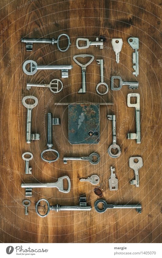 Power of the keys: One fits! Many different keys are arranged around a door lock Profession Craftsperson Locksmith Tool Technology Wood Glass Brown Silver