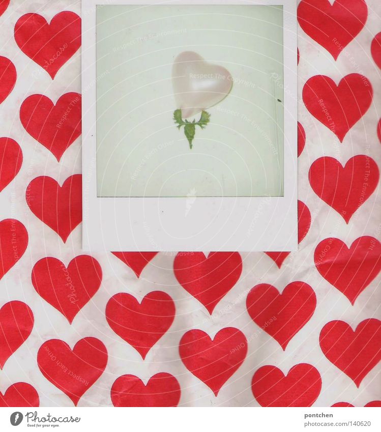 Kitsch. Love, romance, hearts. Polaroid lies on paper with heart pattern and shows antlers with a heart-shaped balloon Valentine's Day Balloon Sign Heart Pink