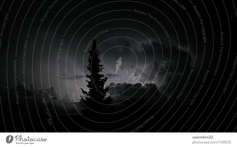 the awakening Tree Fir tree Clouds Night Dark Light Black & white photo Glimmer Lighting Evening Cumulus Forest Sky Dusk Beam of light cloud group single tree