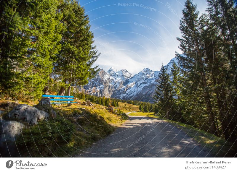 Swiss Beauty Environment Nature Landscape Blue Brown Gray Green Black White Lanes & trails Bench Mountain Tree Forest Snow Clouds Stone Hiking Switzerland