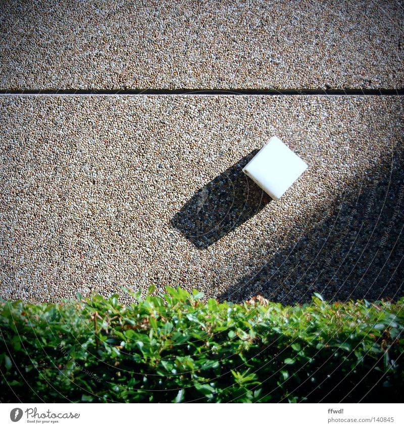 contour cut Wall (building) Stone Stone wall Furrow Crack & Rip & Tear Shadow Drop shadow Geometry Horizontal Contrast Structures and shapes Hedge Bushes Leaf