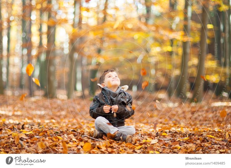 autumn Child Toddler Boy (child) Infancy Life 1 Human being 3 - 8 years Smiling Laughter Looking Sit Autumn Autumnal Autumn leaves Automn wood Forest Woodground