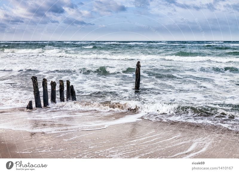 Buhnen at the coast of the Baltic Sea Relaxation Vacation & Travel Beach Ocean Waves Nature Landscape Water Clouds Gale Coast Wood Blue Tourism groynes