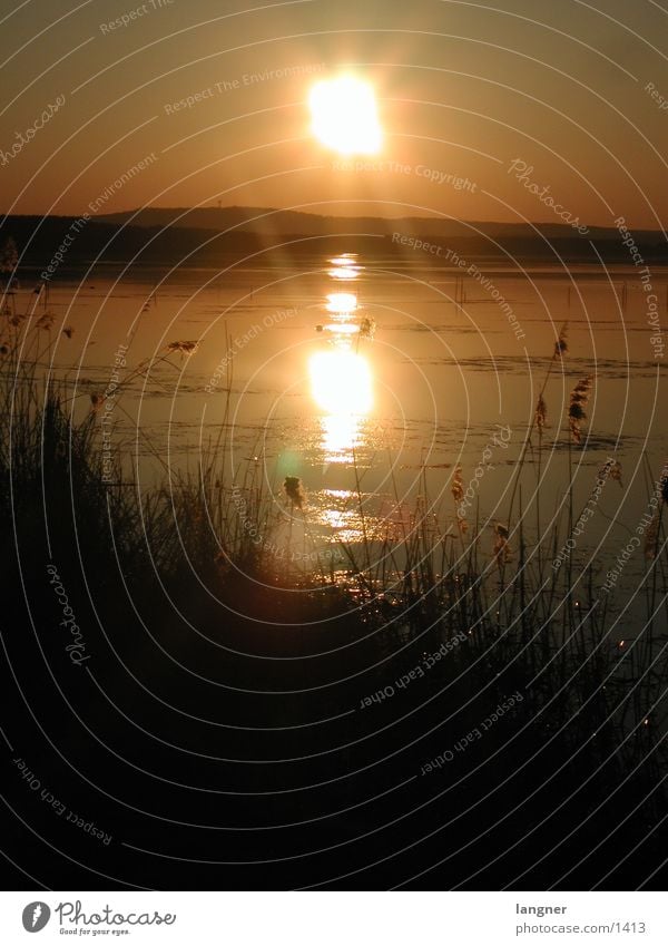 Steinhuder Lake Ocean Sun evening mood Sunset