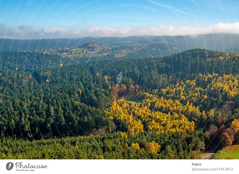 View of the autumnal forests of the Vosges Mountains Tourism Far-off places Nature Clouds Autumn Fog Tree Leaf Forest Hill Peak Blue Brown Multicoloured Yellow