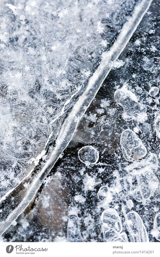 diagonal Nature Winter Ice Frost Cold Frozen Diagonal Air bubble Snow crystal Colour photo Subdued colour Exterior shot Abstract Pattern Structures and shapes