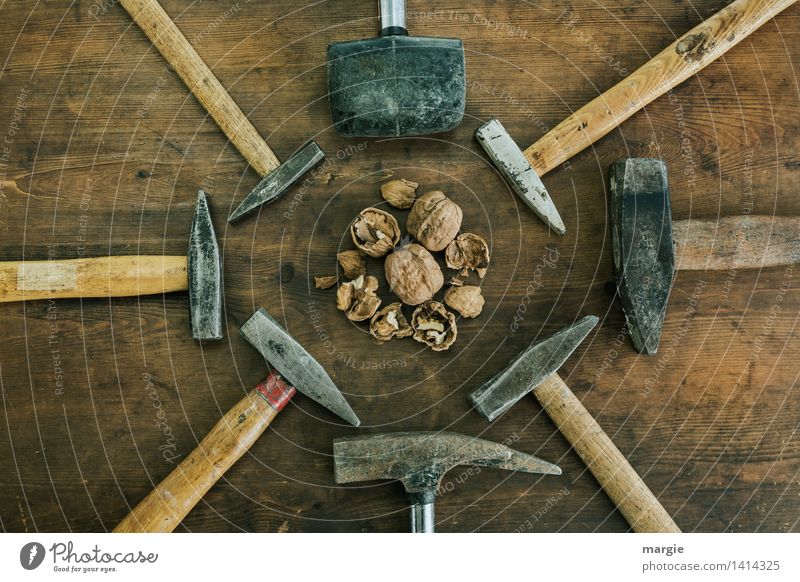 separation of powers: different hammers arranged around walnuts in  landscape format - a Royalty Free Stock Photo from Photocase