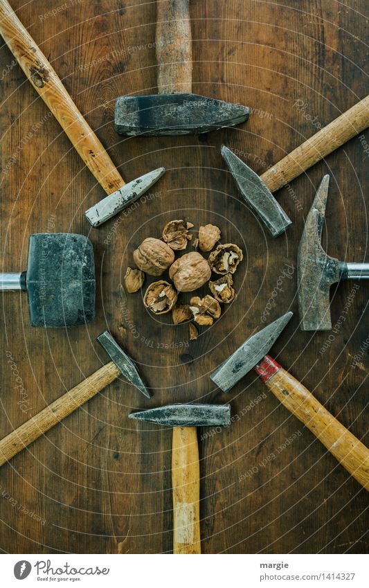 Separation of powers: different hammers arranged around walnuts in portrait format Food Organic produce Vegetarian diet Nutshell Nutcrackers Craftsperson Tool