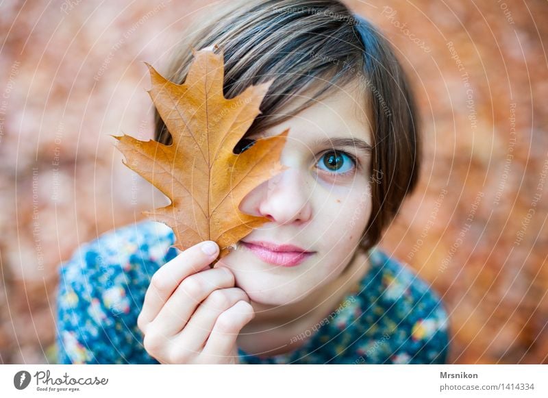autumn Human being girl Infancy Youth (Young adults) Life 1 8 - 13 years Child Autumn Beautiful weather already Autumnal Autumn leaves flaked Deciduous forest