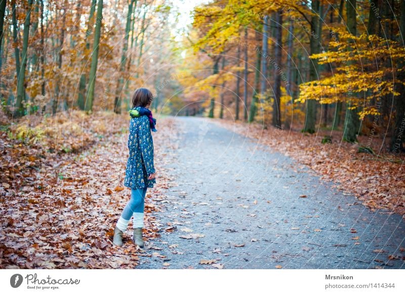 waiting Feminine Child Girl Infancy Youth (Young adults) 1 Human being 8 - 13 years Cold Autumn Autumn leaves Automn wood Autumnal Autumnal landscape Hiking
